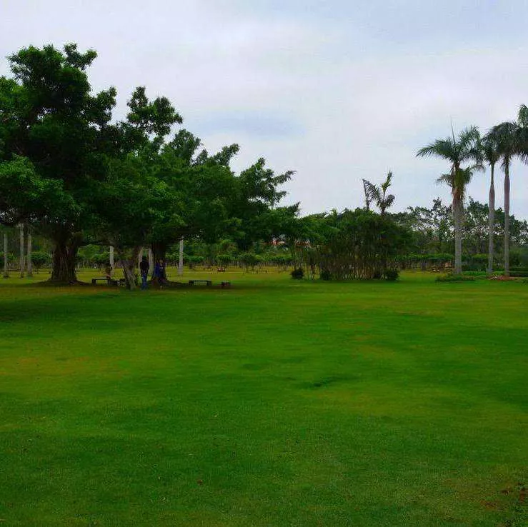 廣州園(yuan)林綠(lv)化養護的特點都有哪些？