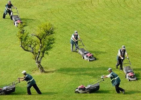 廣州園林綠化養護的特點都有哪些？