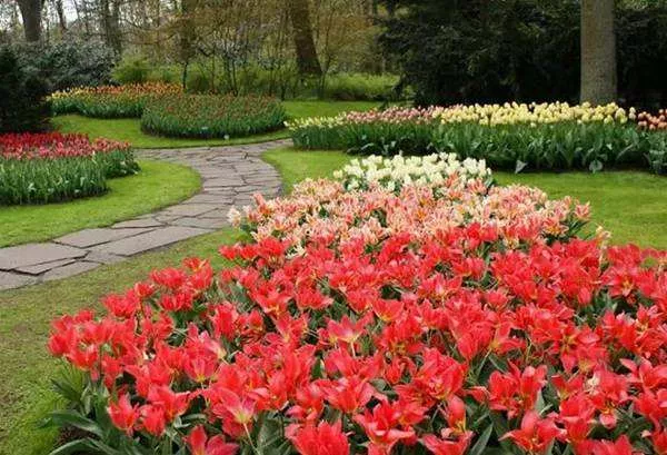 廣州園林綠化施(shi)工怎麼進行質量判斷