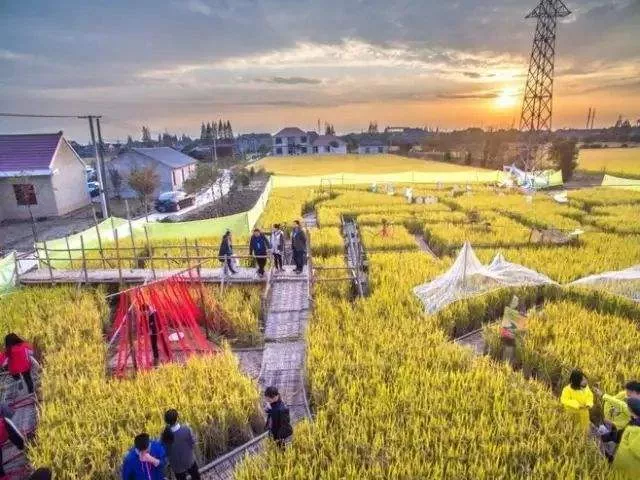 園林綠化栽(zai)植之后要開展(zhan)什麼養(yang)護(hu)措施？