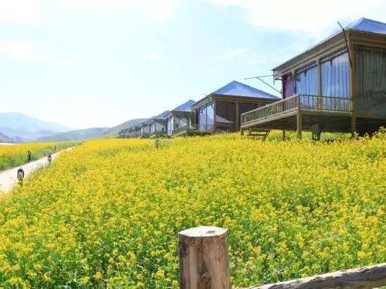 園林綠化栽植之后要開(kai)展什麼養(yang)護措施？