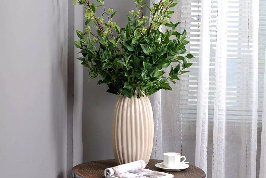 廣州綠(lv)植租擺給商場(chang)的幾點(dian)建議 趕緊收藏起來