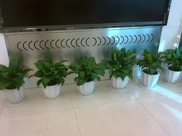 廣州綠植租(zu)擺支付費用以(yi)后就不需要護理了嗎？