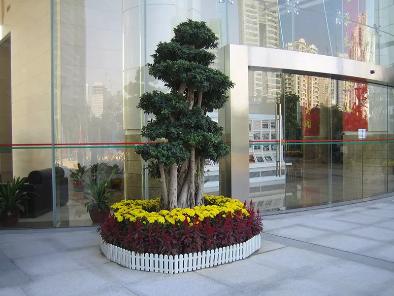 廣州綠植租擺支付費用以后就不需要護理了嗎？