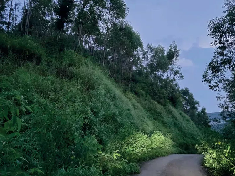 華潤廣東彿(fu)岡福鑫風(feng)電場項目(mu)植(zhi)被恢復工程