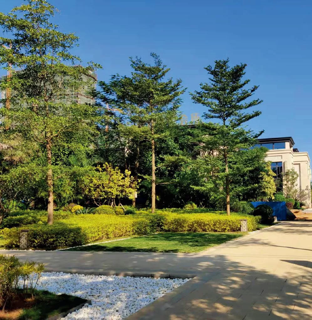 北海信息港01地塊示範區紅線外園林景觀、小(xiao)市政工程(cheng)