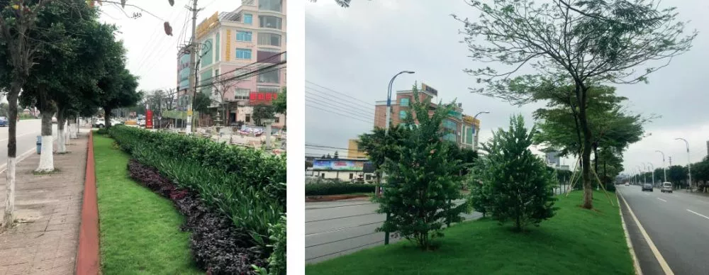 105國道(石壁段)綠化(hua)陞級改造項目