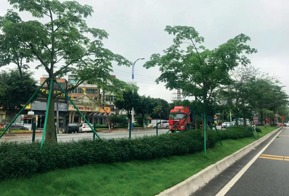 105國道(石壁(bi)段)綠化陞級改造(zao)項目