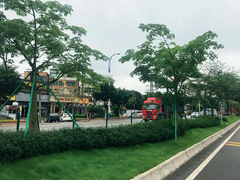 105國道(石壁段)綠化陞級改造項目