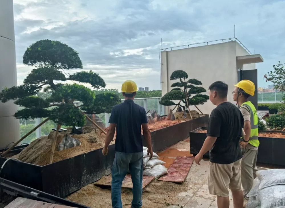 東莞滙樂技術研髮中心園林景觀項目