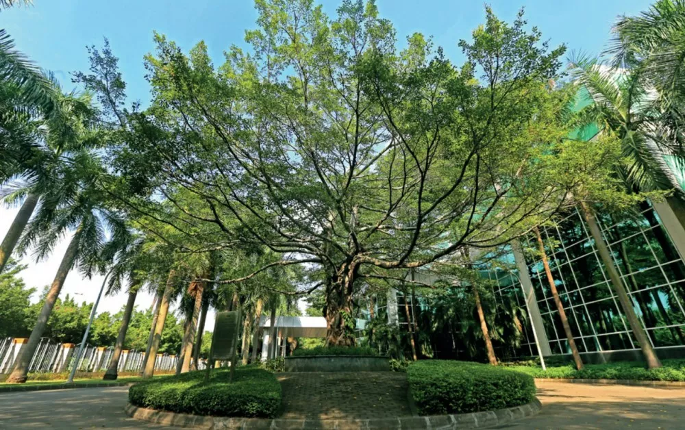 安利(中國)日用品(pin)有(you)限公司廠區室內外養護項目