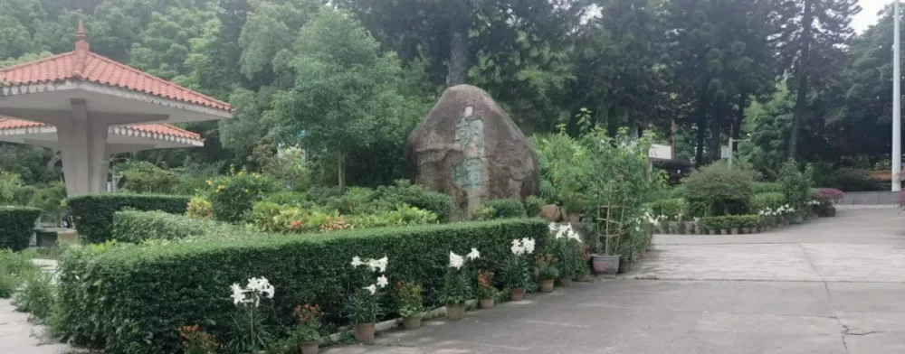 傍西邨公園邨內綠化養(yang)護項目