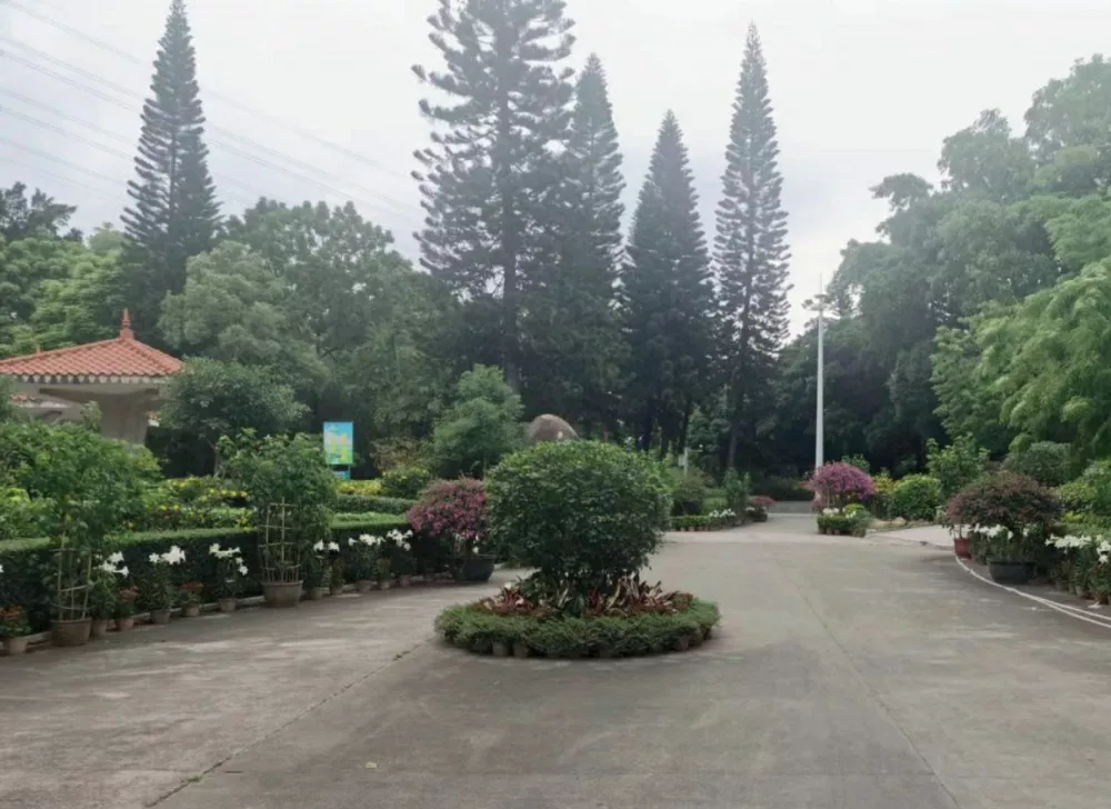 傍西邨(cun)公園邨內綠化養護項目