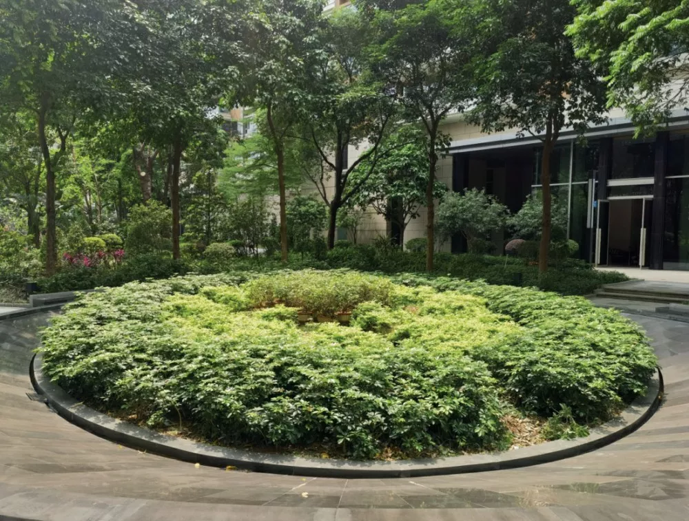 峻林苑綠化(hua)養護項目(mu)