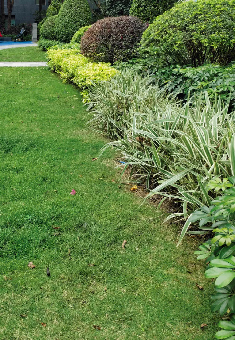 峻林苑綠化養護項目