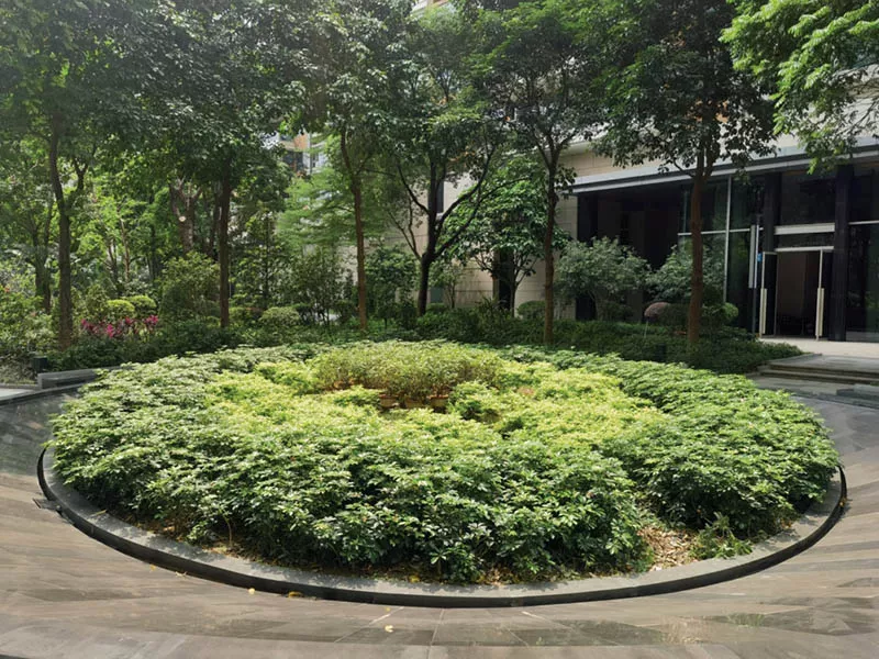 峻林苑綠化養(yang)護(hu)項目