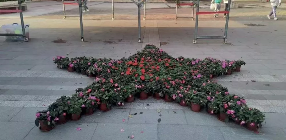 亞運城小學綠化(hua)養護項目