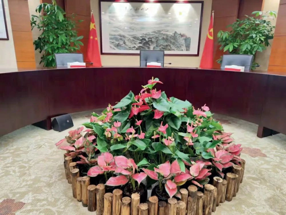 廣髮銀行股份有限公司室(shi)內綠化植(zhi)物租擺服務項目