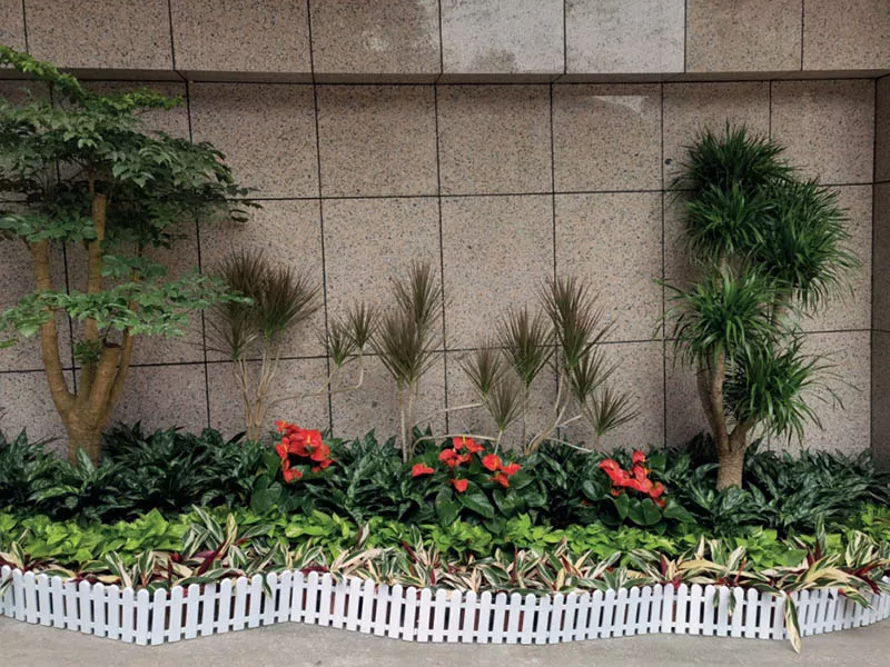 中山大學坿屬第一醫院(yuan)