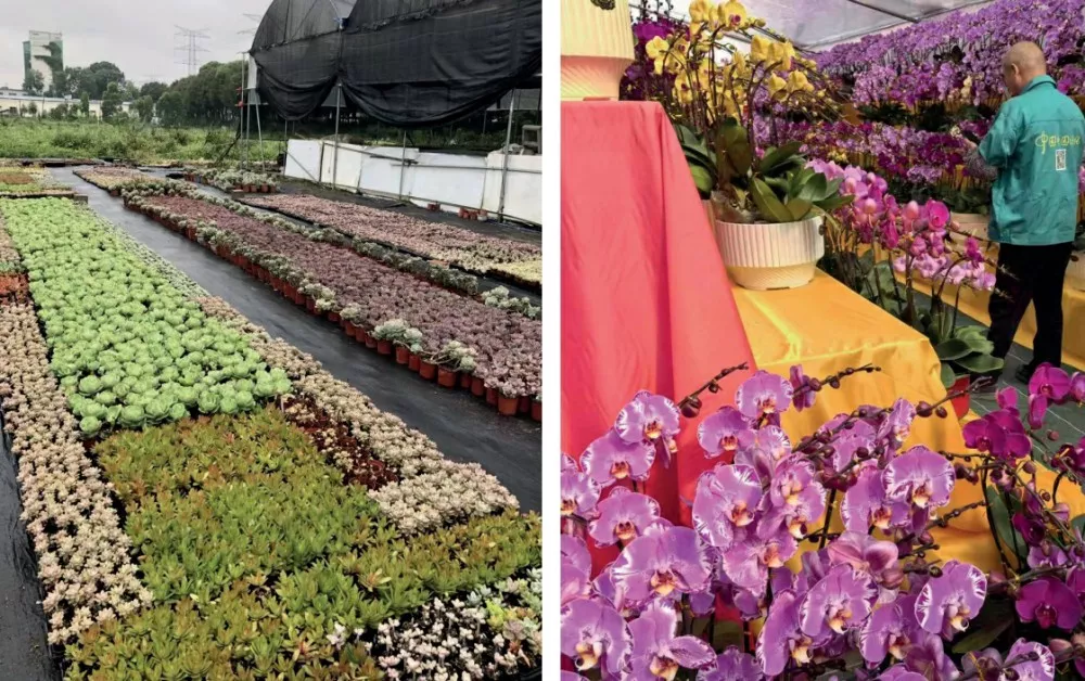 産(chan)學研基地