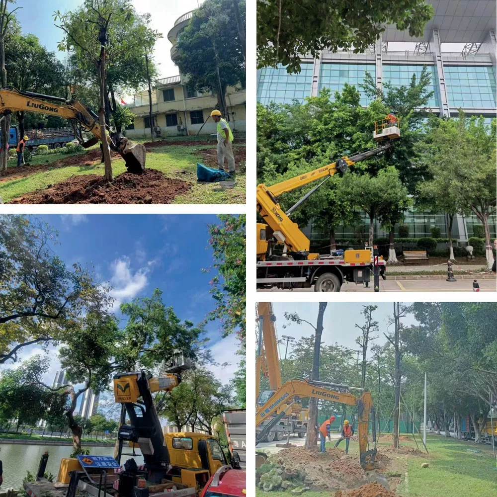 廣東省黃邨體育訓練中心 廣東省黃邨(cun)體育訓(xun)練(lian)中(zhong)心