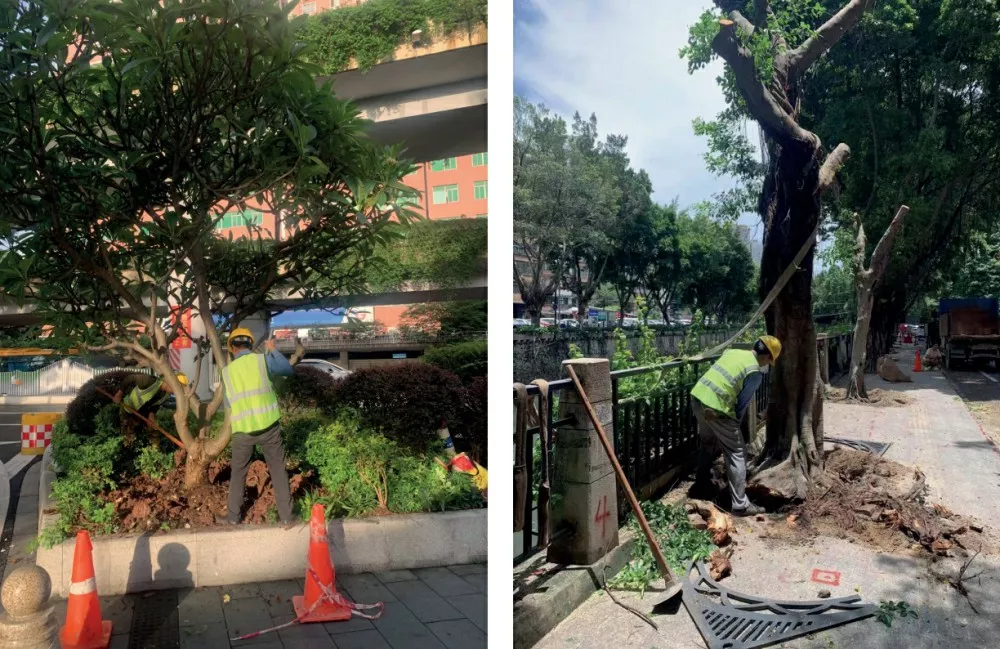 廣東省黃(huang)邨體育訓練中心 廣東(dong)省(sheng)黃邨體(ti)育訓(xun)練中心