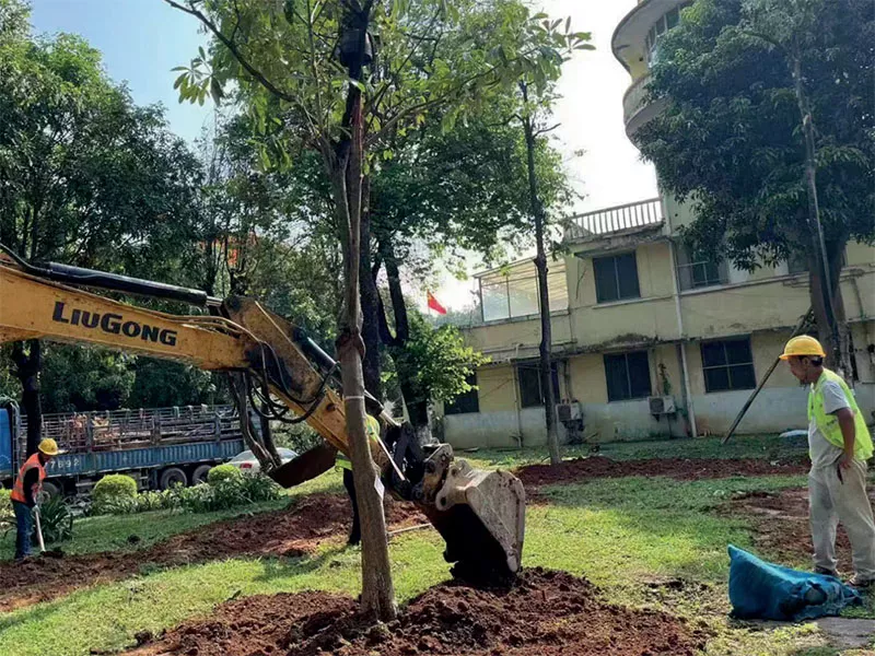 廣(guang)東(dong)省黃邨體育訓練(lian)中心(xin)