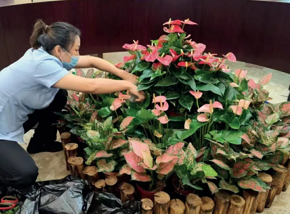 物(wu)業(ye)保潔