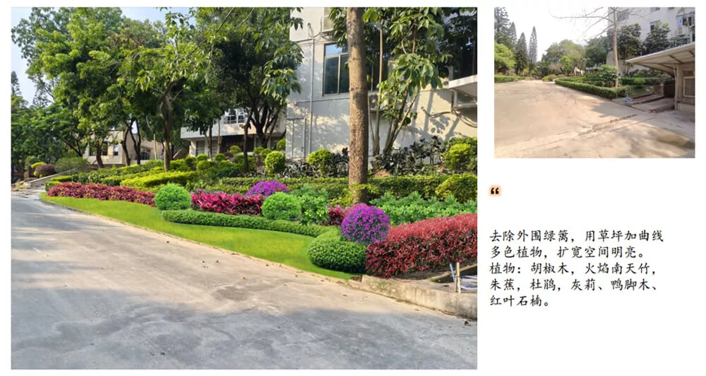 傍西僑愛公園綠化設計