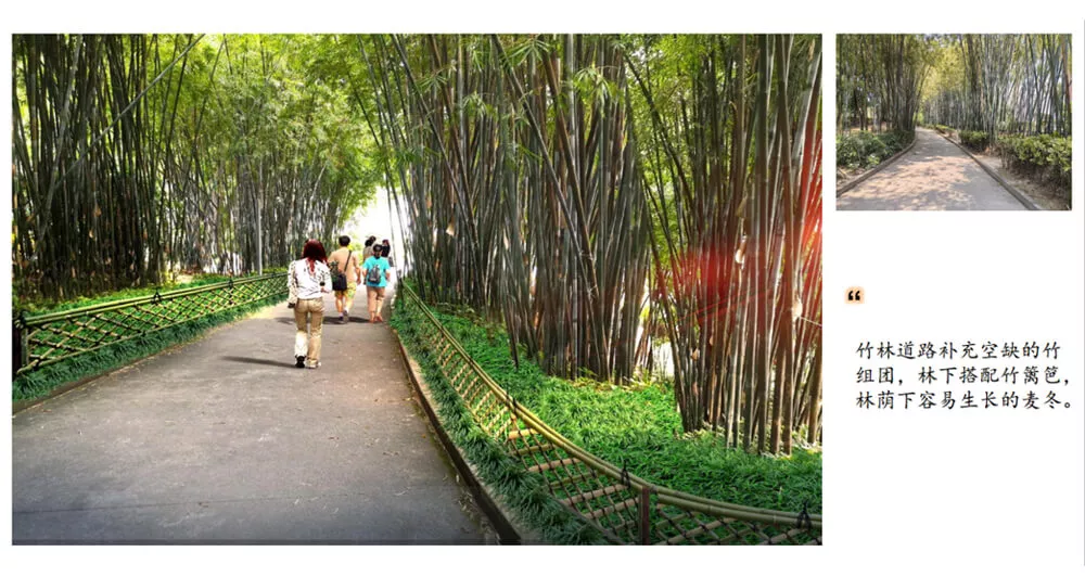 傍西僑愛公(gong)園綠化設計