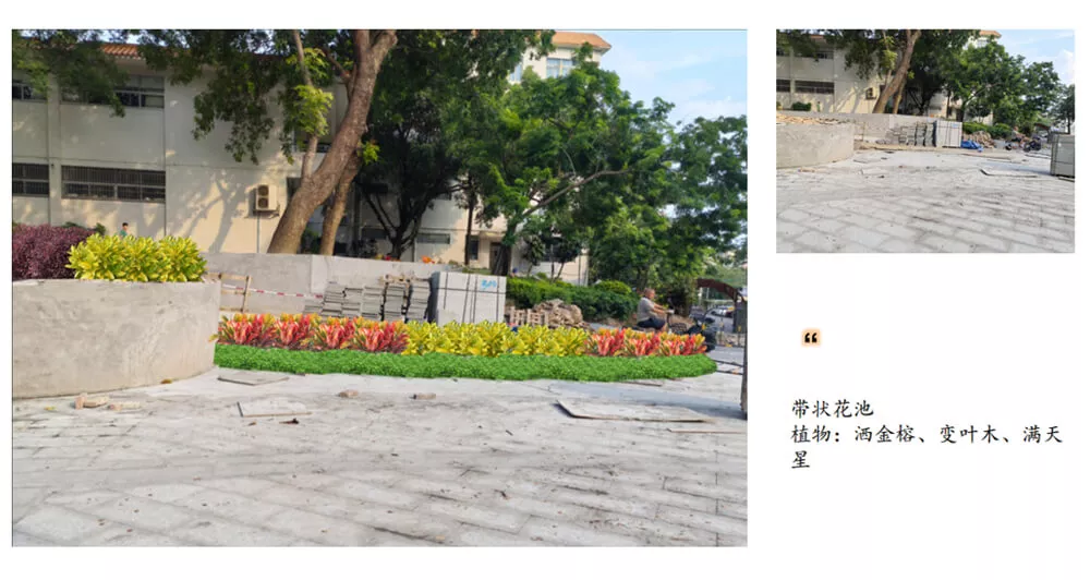 傍西僑愛公園綠化設計