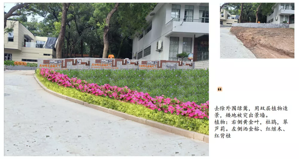 傍西(xi)僑愛公園綠化(hua)設(she)計(ji)