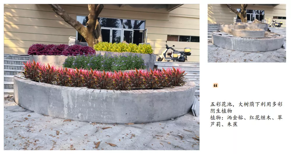 傍西僑愛(ai)公(gong)園(yuan)綠化設計